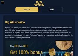 BigWins Casino Site: Player Ratings & Our Decision