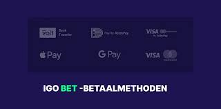 Avis sur IgoBet Casino